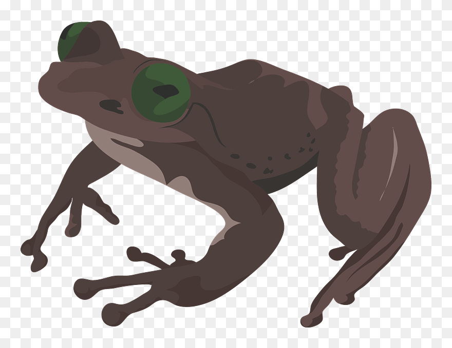 Brown Frog Clipart - กบ สี น้ำตาล การ์ตูน - Png Download