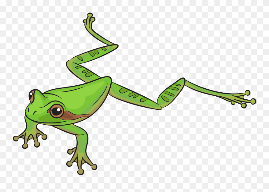 Clipart Frogs - Png Download