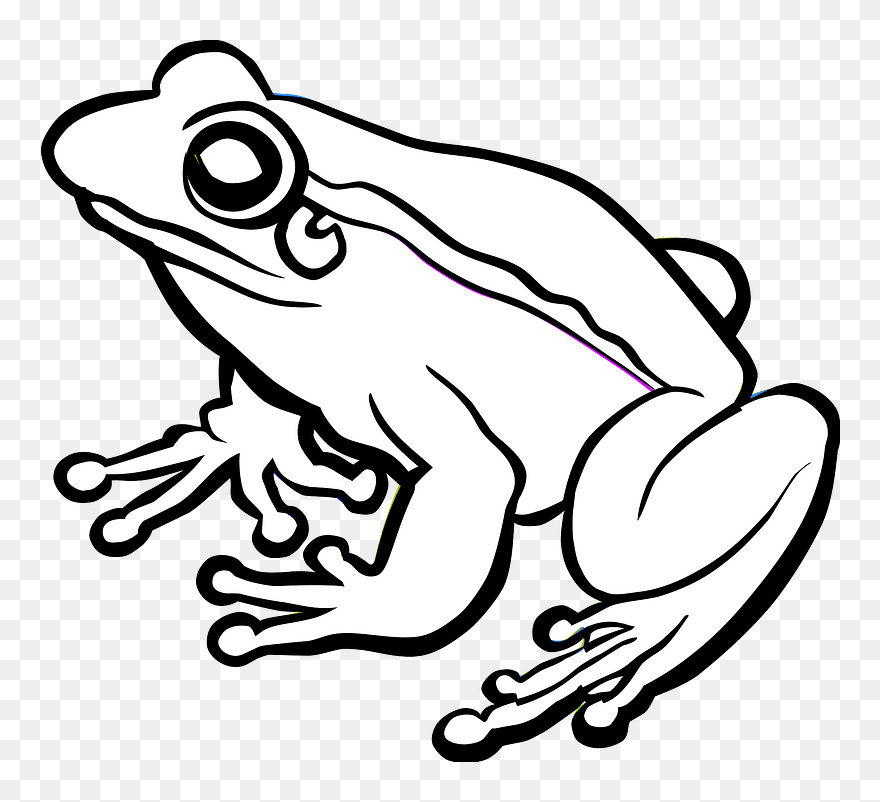 Frog Clipart - Black And White Clip Art Frogs - Png Download