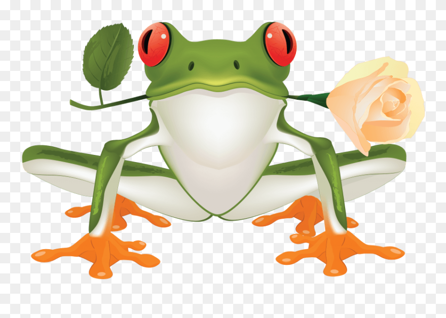 Free Png Frog Png Images Transparent - Poison Dart Frog Clipart