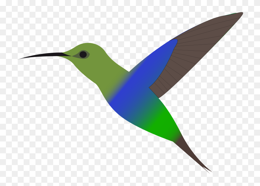 Hummingbird Clip Art - Png Download