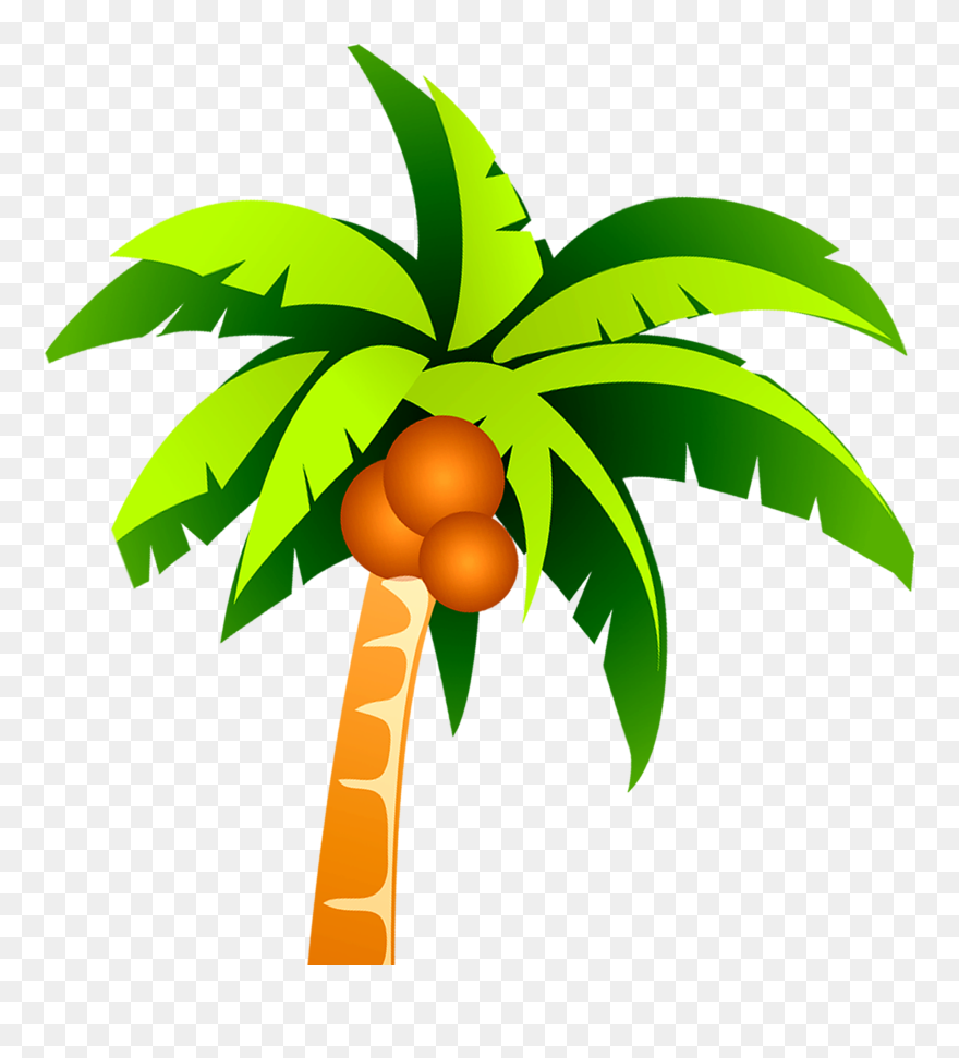 Download Hd Vector Clipart Coconut Tree - Cartoon Coconut Tree Vector - Png Download