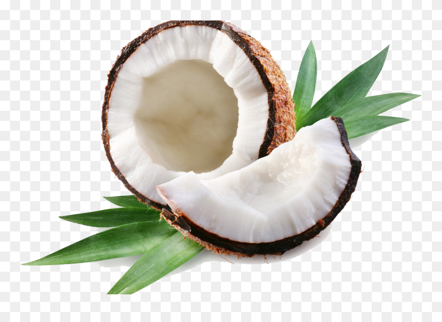 Coconut Clipart Transparent Tumblr - Coconut Png