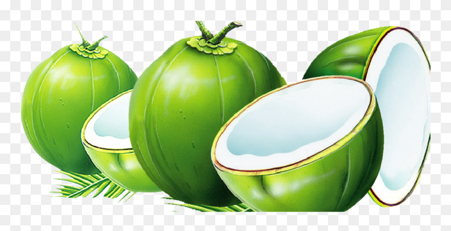 Dodol Coconut Water Nata De Coco Coconut Milk Transparent Green Coconut Png Clipart 5438157 Pinclipart