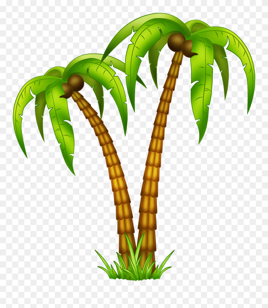 Dibujos Palmeras Png - Tropical Tree Drawing Clipart