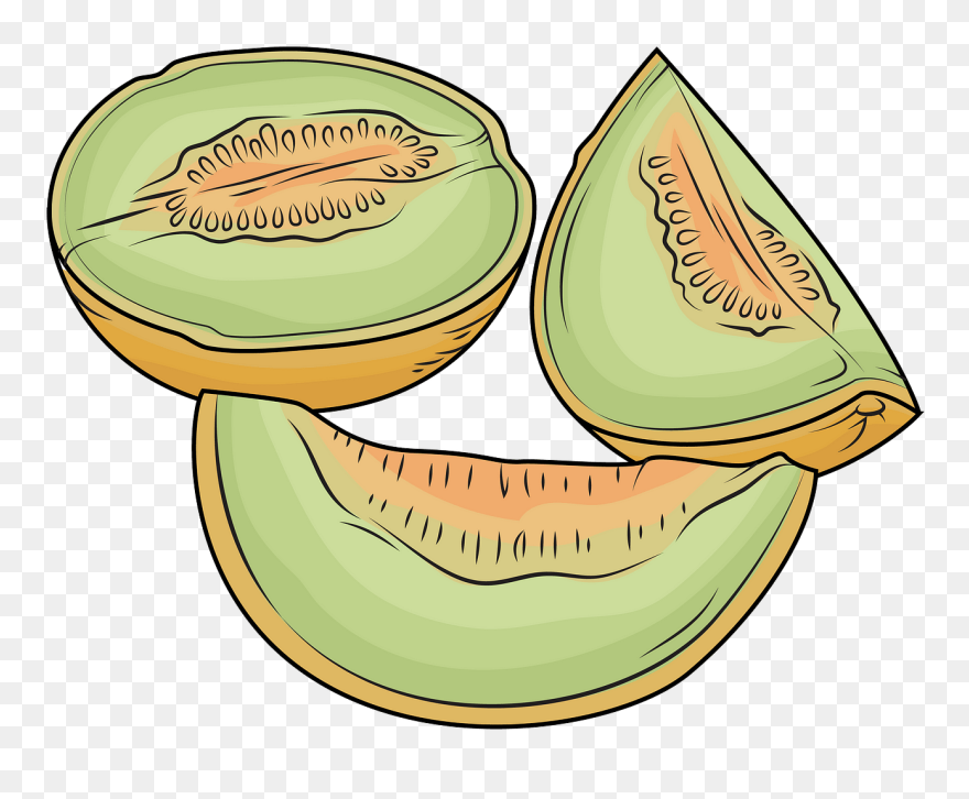 Melon Cut Into Pieces Clipart - Png Download