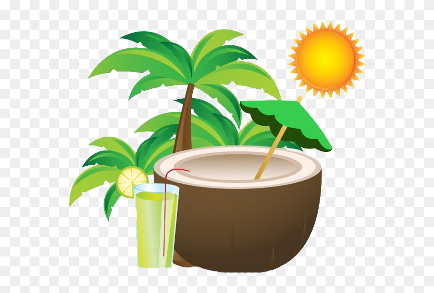 Summer Coconut Png High-quality Image - Design Vector Coconut Tree Clipart