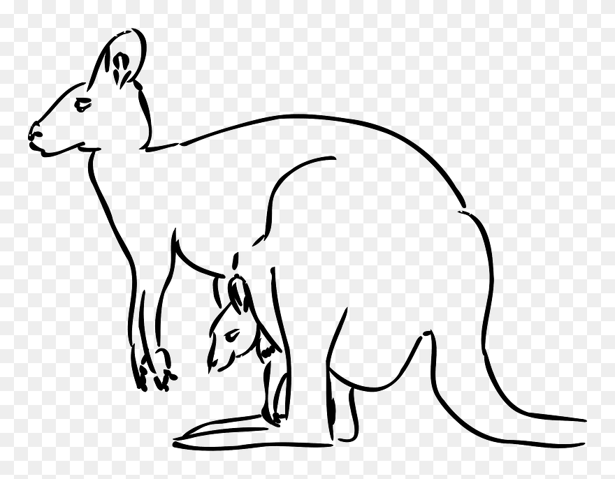 Kangaroo Mom And Baby Clipart - Kangaroo Clipart Black And White - Png Download