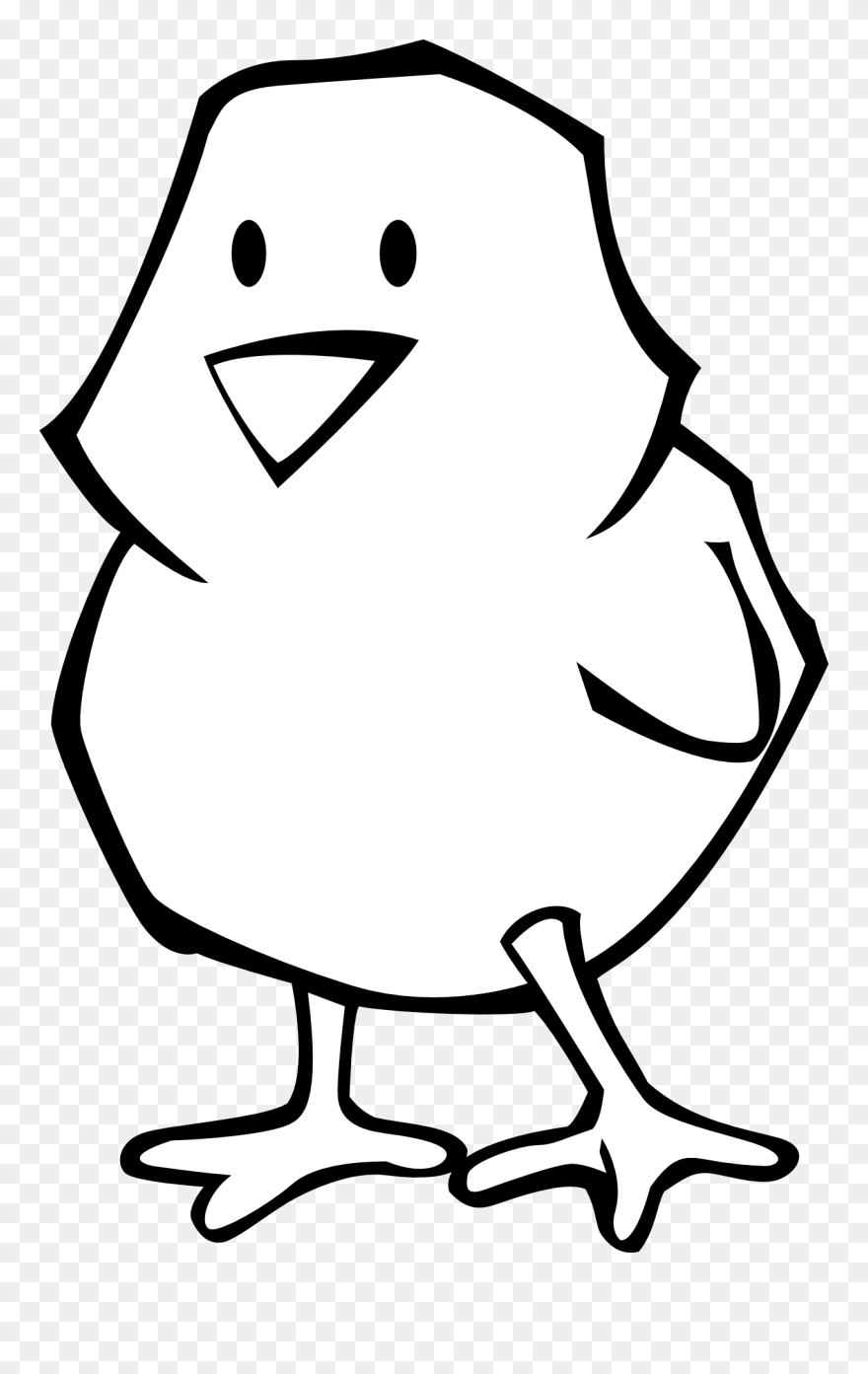 Easter Chick Coloring Pages Clipart
