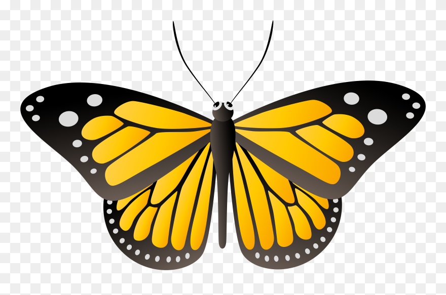 Butterfly Yellow Clip Art Image Gallery Yopriceville - Yellow Butterfly Png Transparent