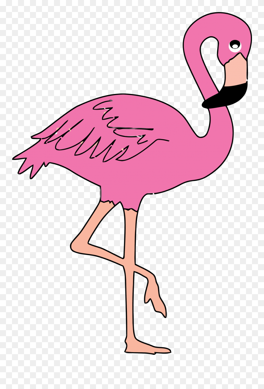 Clip Art Flamingo - Png Download
