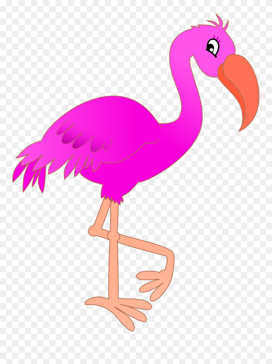 Flamingo Clipart - Birds Drawing With Name - Png Download