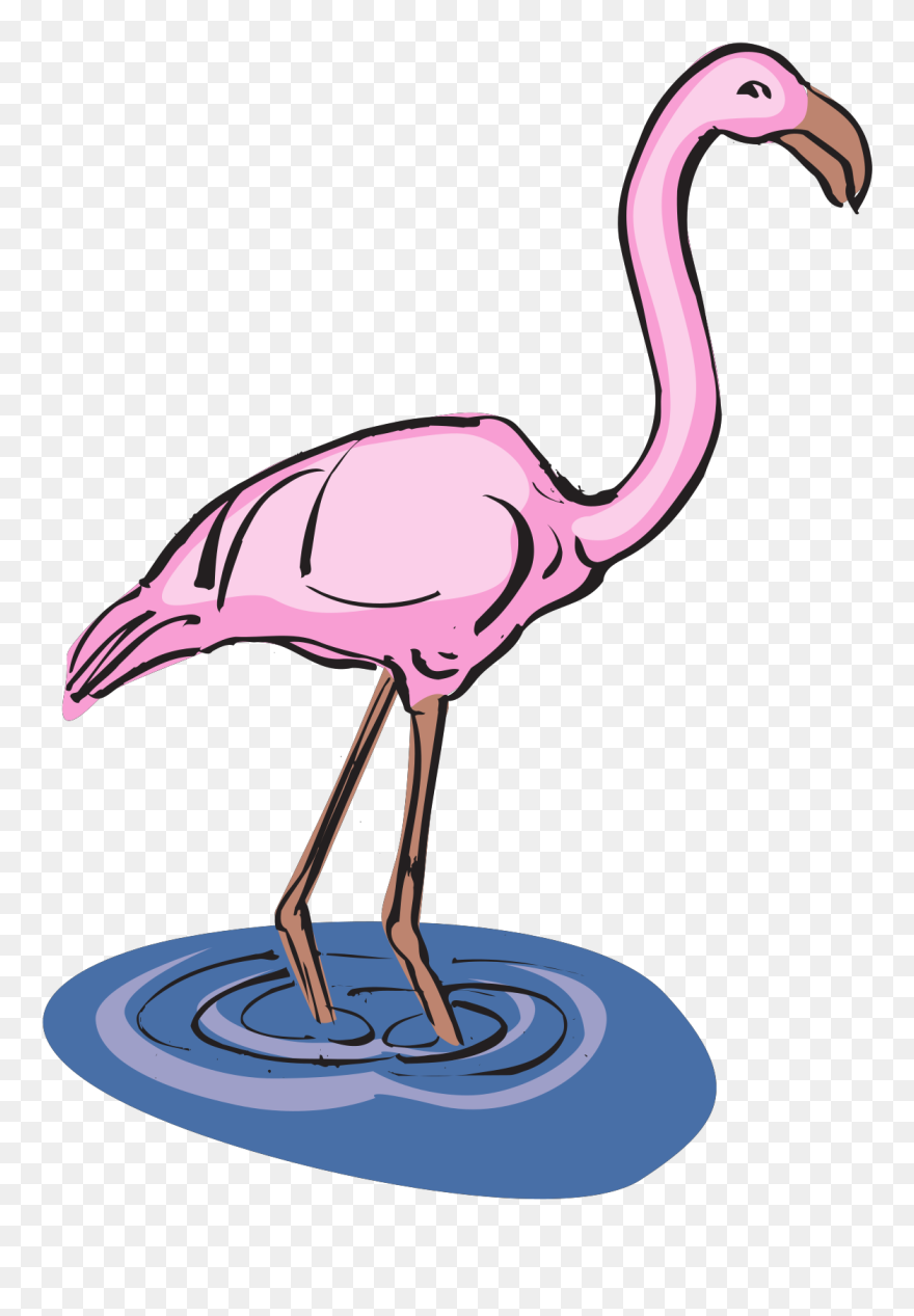 Pink Flamingos In Water Clipart - Png Download