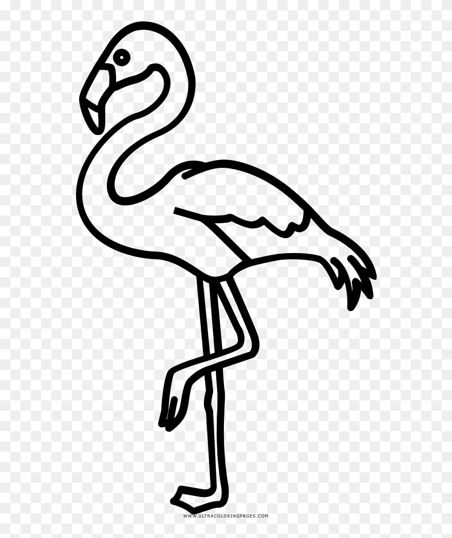 Flamingo Drawing Outline - Outline Flamingo Clipart - Png Download
