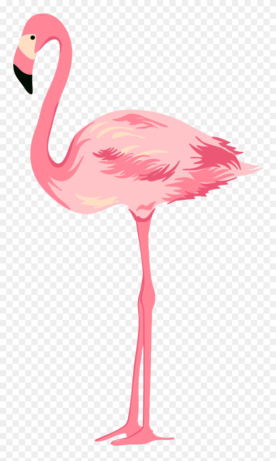 Flamingo Transparent Background - Transparent Background Flamingo Png Clipart