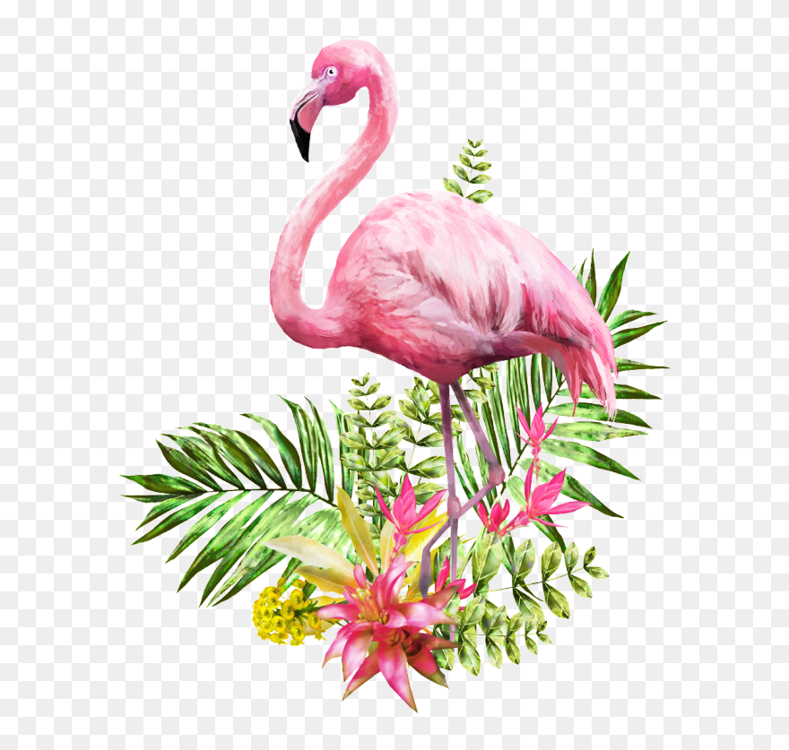 Flamingo Transparent Vector - Transparent Background Flamingo Png Clipart