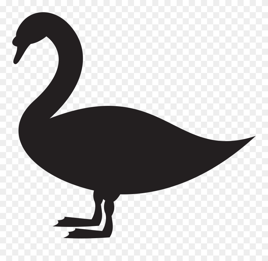 Transparent Pink Flamingos Clipart - Png Download