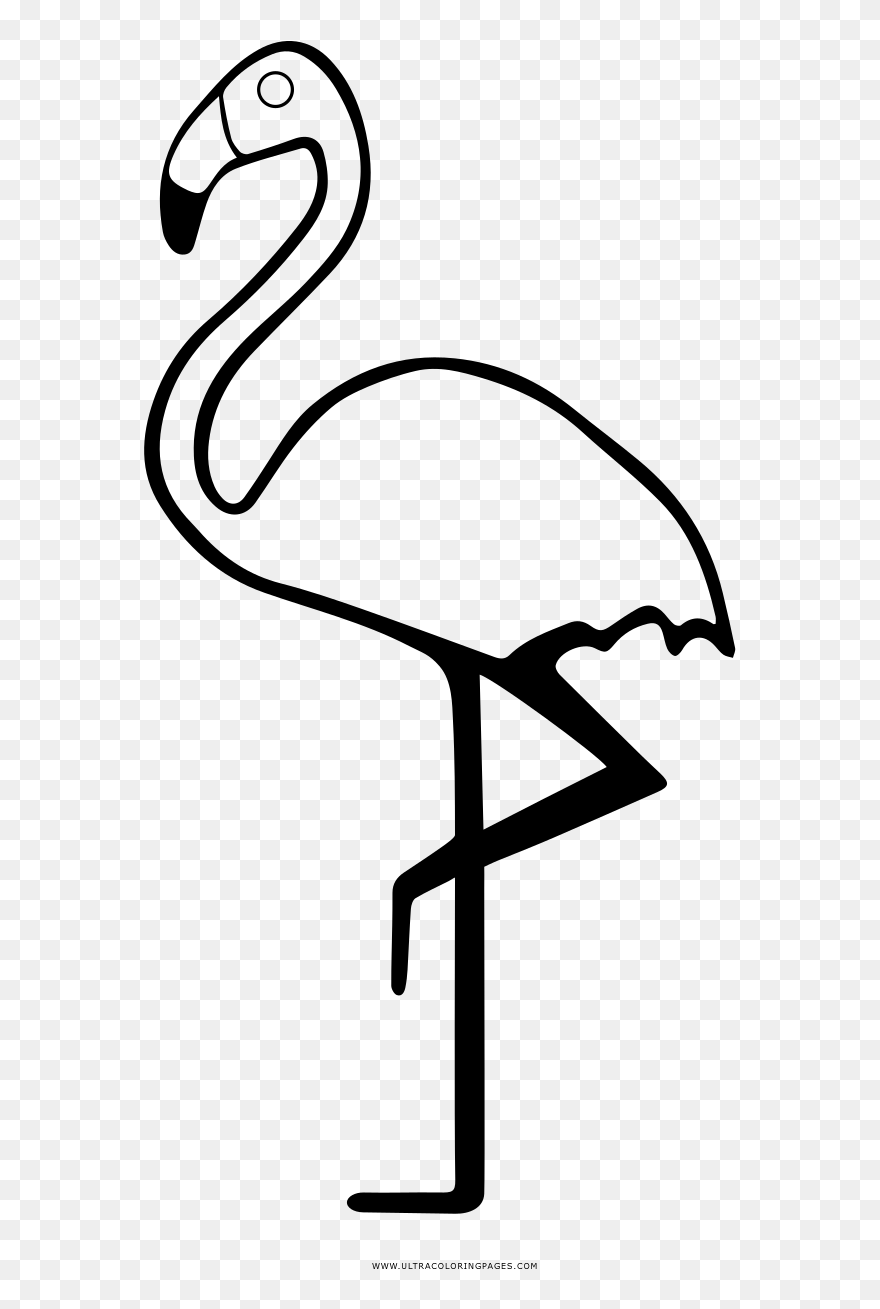 Greater Flamingo Clipart