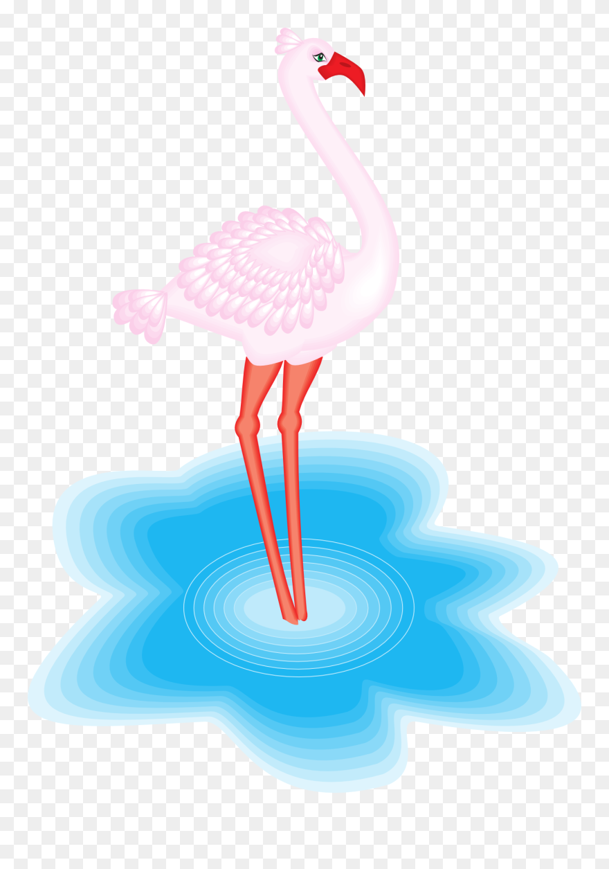 Flamingo Na Agua Png Clipart
