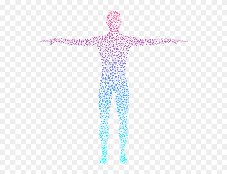 Human Body Clipart