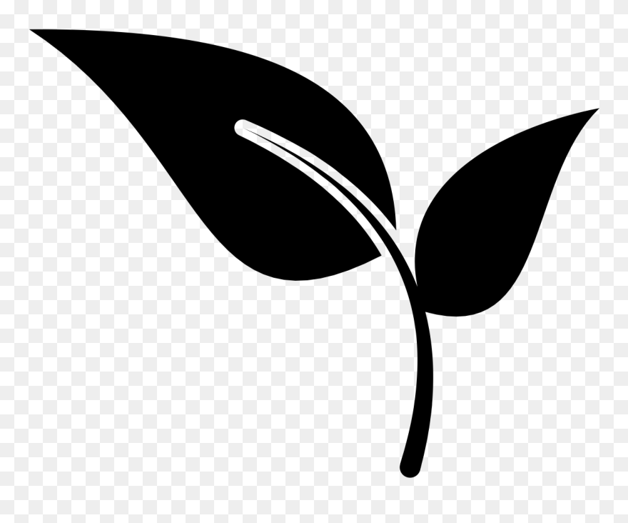 Clip Art - Png Download