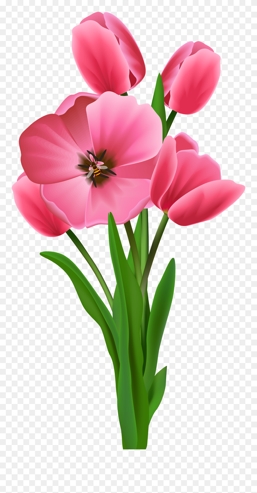 Drawn Daffodil Realistic - Happy New Month Flowers Clipart