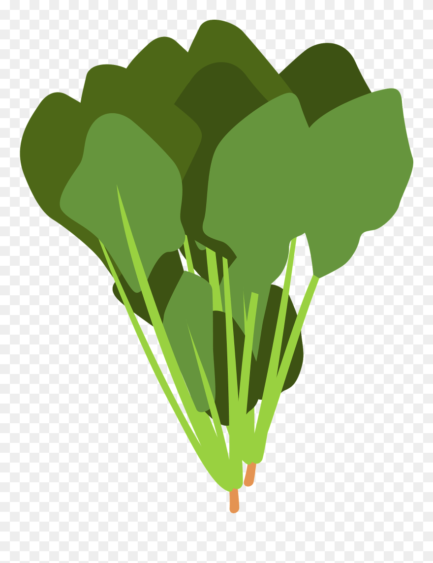 Illustration Clipart