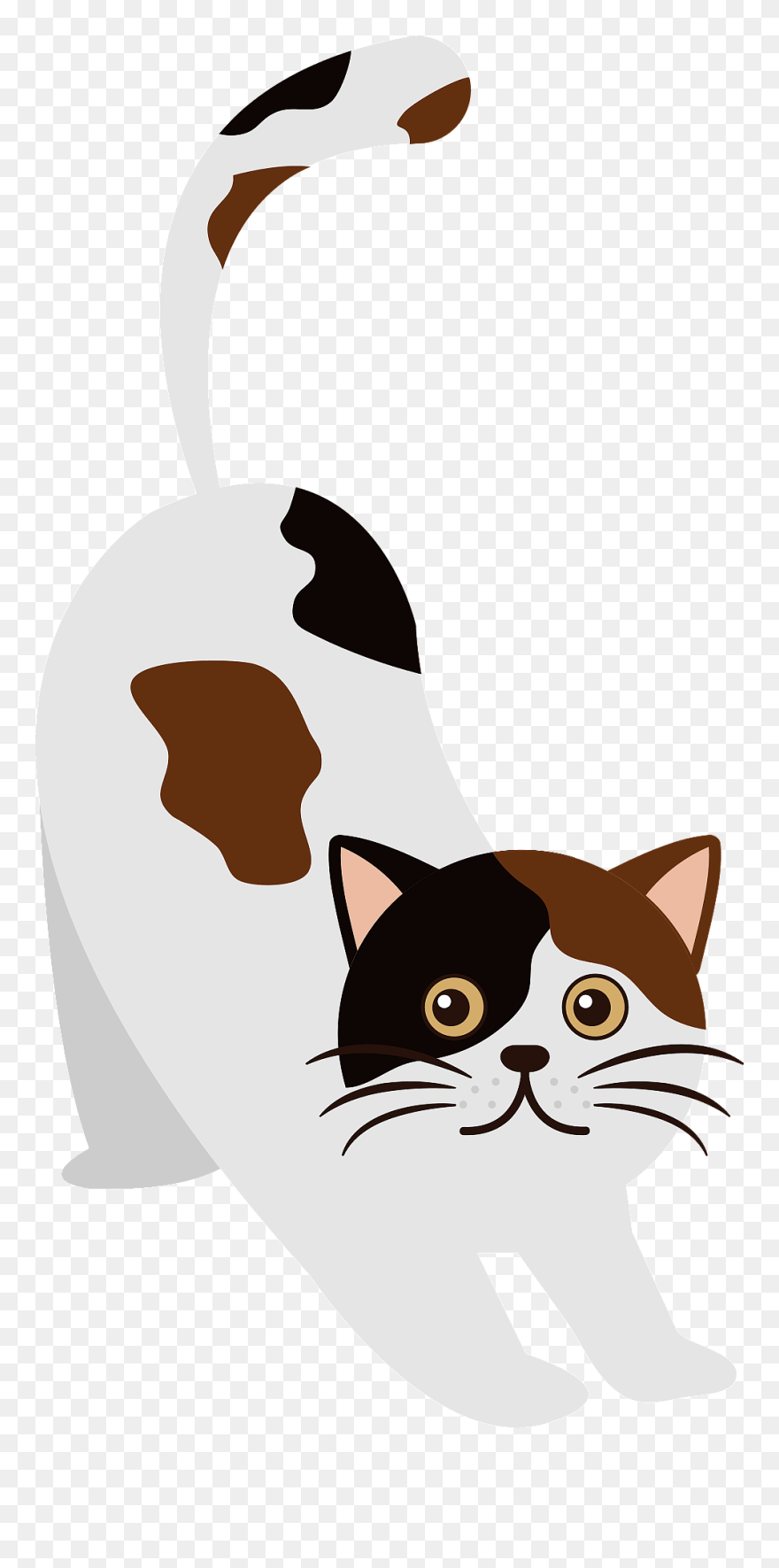 Cat Clipart