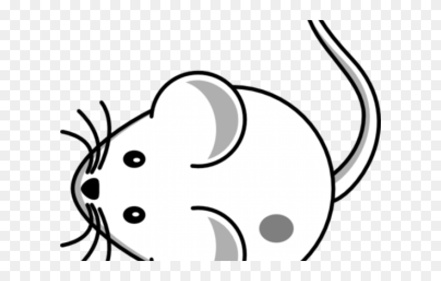Cartoon Mouse Clipart