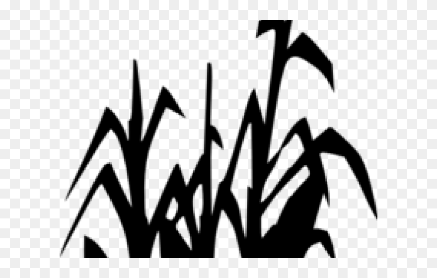 Transparent Scarecrow Clipart - Clipart Black And White Corn Stalks - Png Download