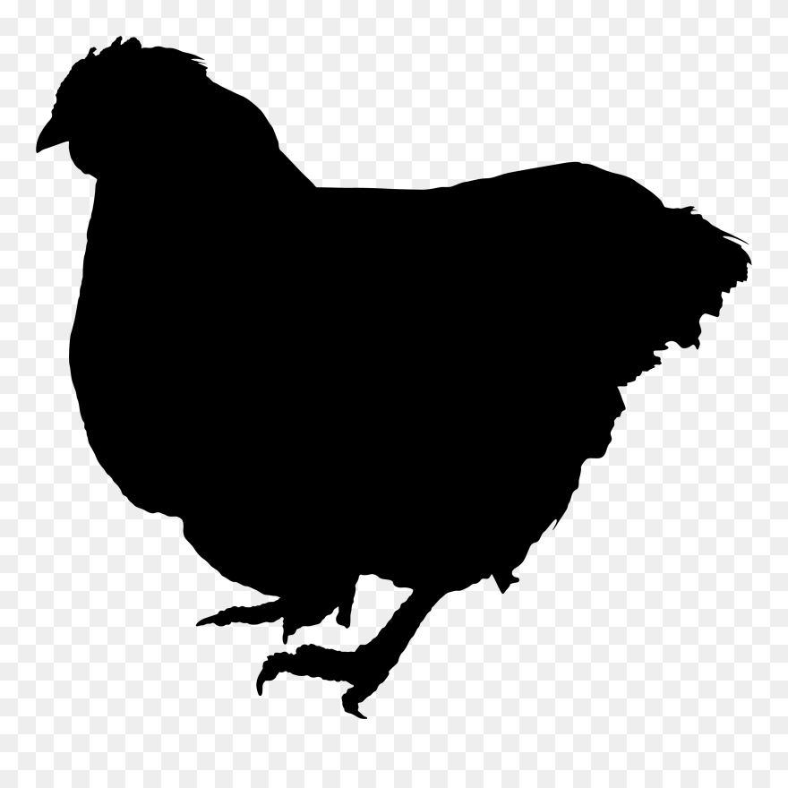 Clip Art Vector Graphics Wild Turkey Silhouette Drawing - Clip Art - Png Download