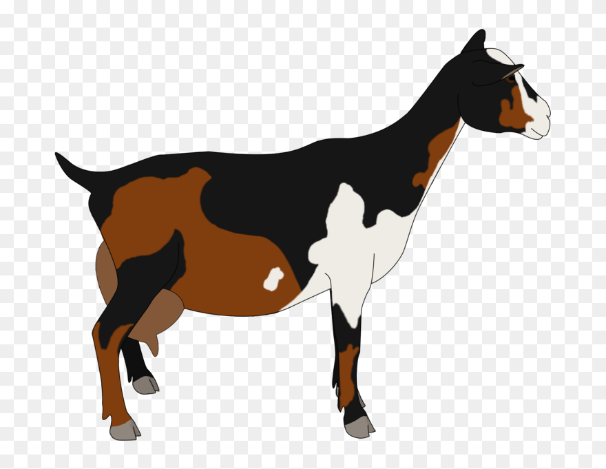 Drawing Goats Pygmy Goat - Nigerian Dwarf Goat With Transparent Background Clipart