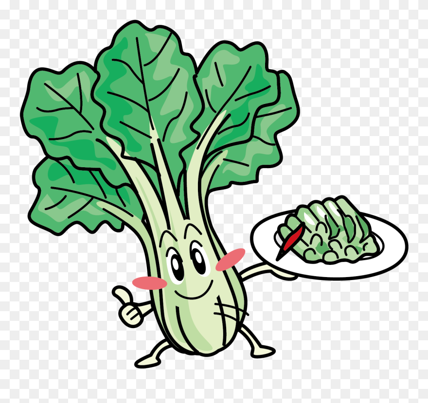 Cabbage Clipart Bok Choy - Bok Choy Clipart - Png Download