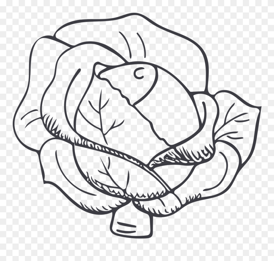 Thumb Image - Cabbage White And Black Cartoon Clipart