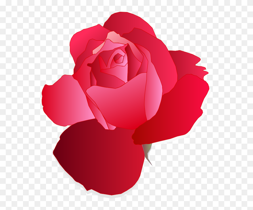 Red Rose - Digital Drawings Of Rose Clipart