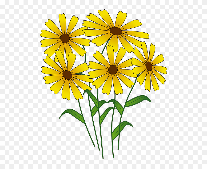 Clip Art Flower Spring - Png Download