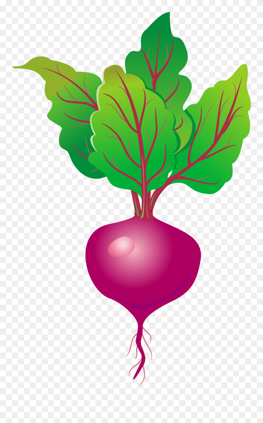 Cartoon Beetroot Png Free Clipart