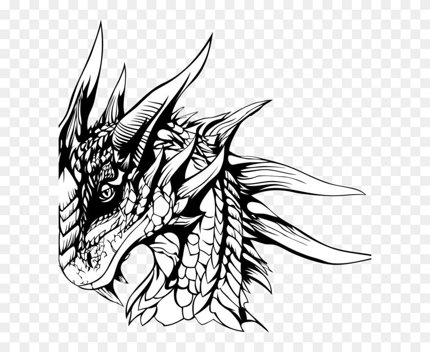   - Sketch Pencil Drawing Pictures Free Download Clipart