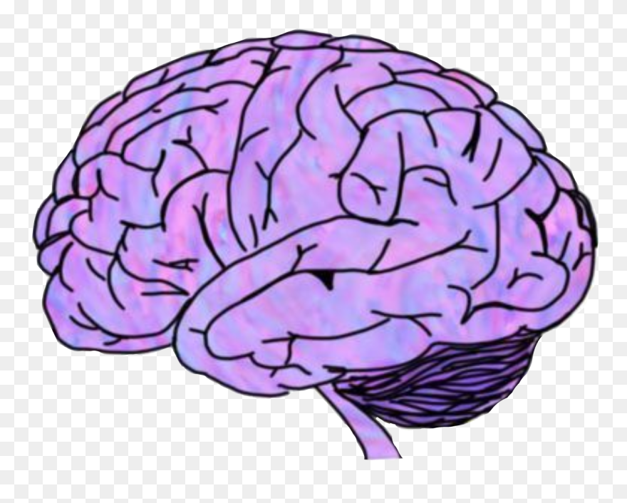 #brain #scary #crippy #mozak #purple #pink #organ #head - Brain Transparent Clipart