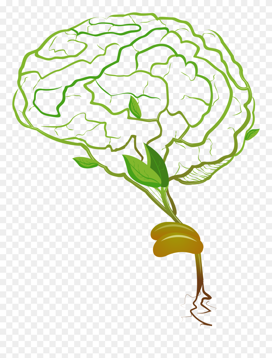 Brain Clipart