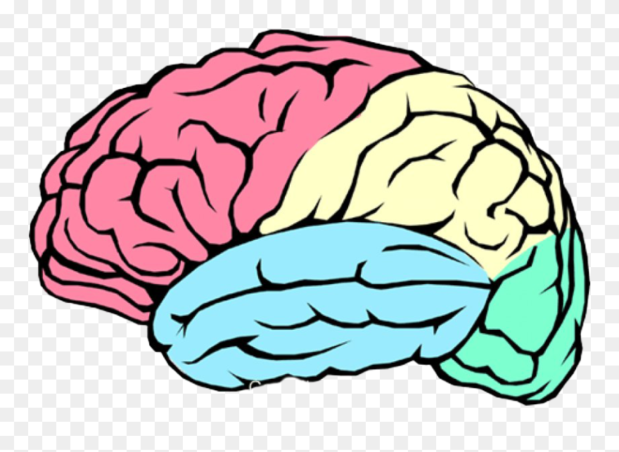 Art Brain Png Image Transparent Background - Transparent Background Brain Transparent Clipart