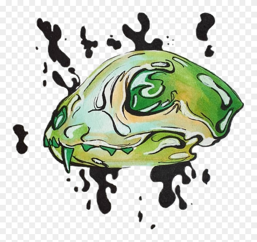 #cat #catskull #anatomy #design #skull #green #drawing Clipart