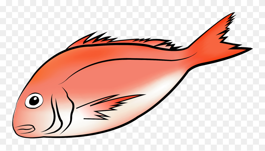 イラスト 素材 魚 たい Clipart