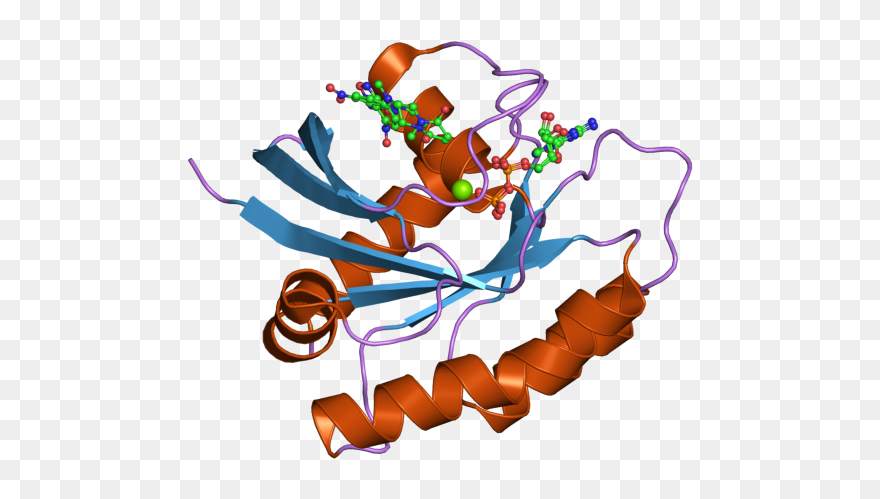 Pdb 2ce2 Ebi - Hras Protein Clipart