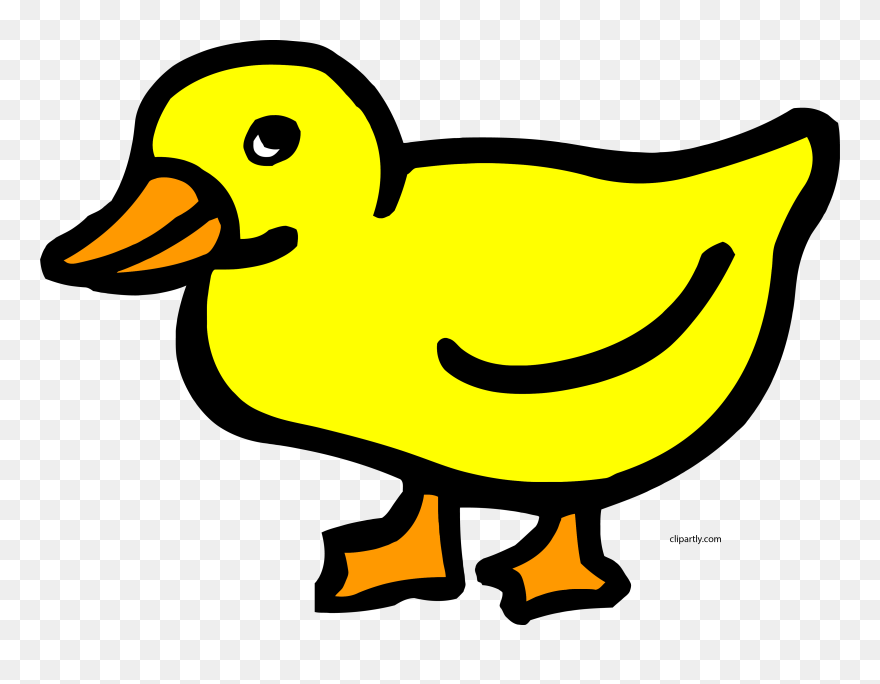 Duck Clip Art Looking Yellow Clipart Png - Clip Art Picture Of Duck Transparent Png