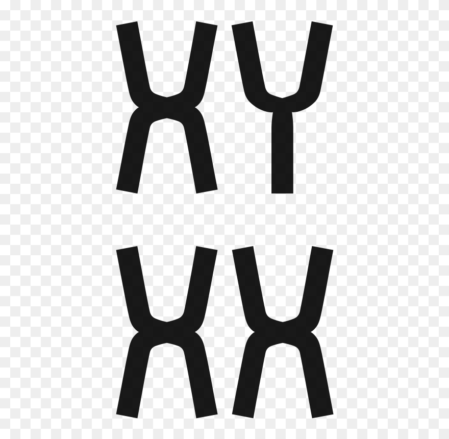Clip Art - Png Download