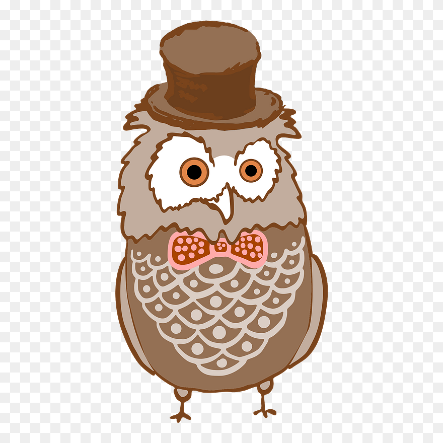 Owl In A Hat Clipart - Clip Art - Png Download