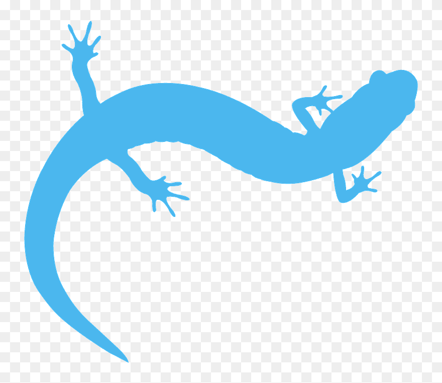 Newt Silhouette Clipart