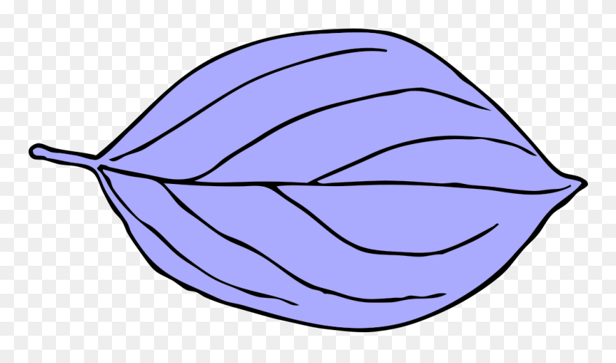 Light Blue Oval Leaf Png Images - Oval Leaf Clipart Transparent Png
