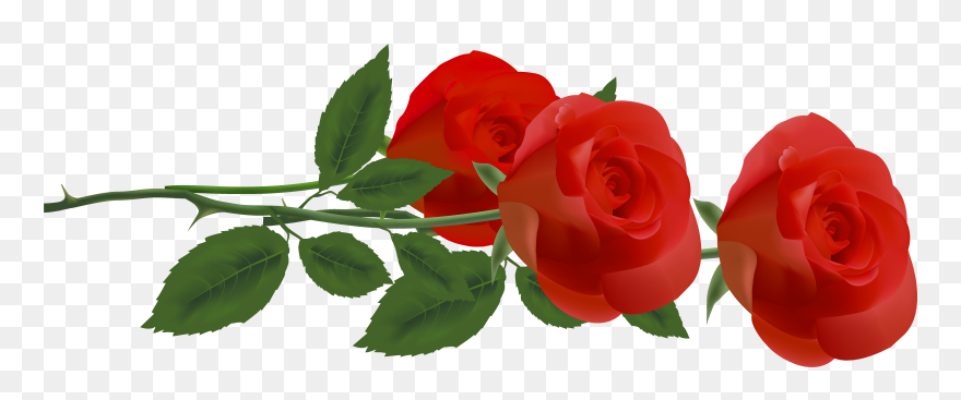 Rose Flower Clip Art - Rose Border Png Transparent Png